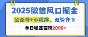 2025微信风口掘金，公众号+小程序双管齐下，单日稳定变现1k+【揭秘】-独角兽众创资源站独角兽网创资源站