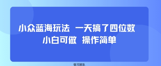 小众蓝海玩法 一天搞了四位数 小白可做 操作简单-独角兽众创资源站独角兽网创资源站
