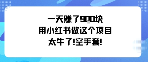 一天挣了9张用小红书做这个项目太牛了，空手套-独角兽众创资源站独角兽网创资源站