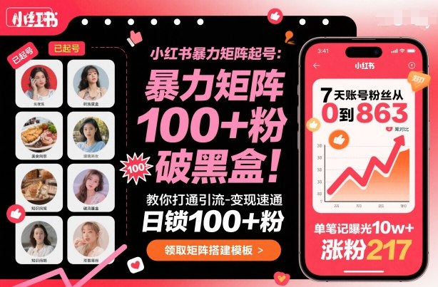 小红书暴力矩阵起号，教你打通引流-变现速通，日锁100+粉，破流量黑盒-独角兽众创资源站独角兽网创资源站