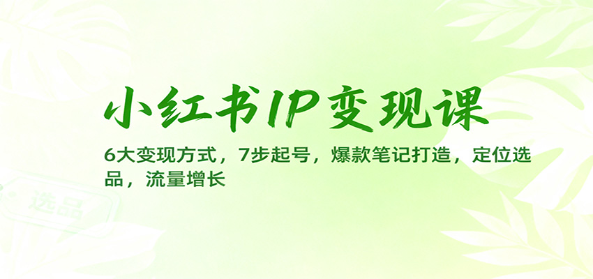 小红书IP变现课：6大变现方式，7步起号，爆款笔记打造，定位选品，流量增长-独角兽众创资源站独角兽网创资源站