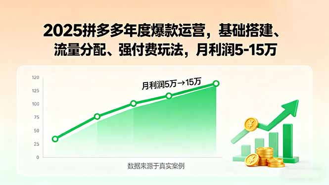2025拼多多年度爆款运营，基础搭建、流量分配、强付费玩法，月利润5-15万-独角兽众创资源站独角兽网创资源站
