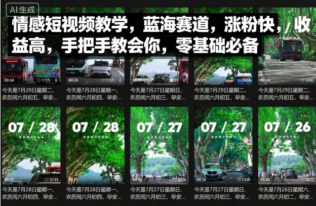 情感短视频教学，蓝海赛道，涨粉快，收益高，手把手教会你，零基础必备-独角兽众创资源站独角兽网创资源站