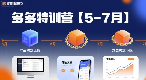 多多特训营,产品决定上限,方法决定下限,各种玩法技巧落地实操(更新)-独角兽众创资源站独角兽网创资源站