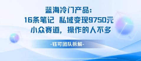 蓝海项目：16条笔记私域变现9750米小众赛道操作的人不多-独角兽众创资源站独角兽网创资源站