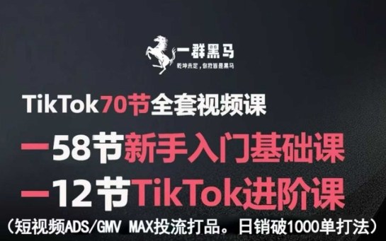 TikTok全套视频课，新手入门+进阶课，短视频ADS-GMV MAX投流打品，日销破1000单打法-独角兽众创资源站独角兽网创资源站